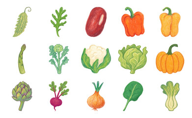 Fototapeta premium Colorful hand-drawn vegetable illustrations