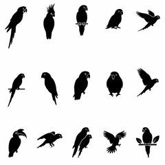 Fototapeta premium set of silhouettes of birds