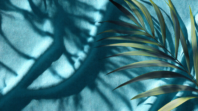 Tropical Palm Leaf Shadow on Blue Textured Background with Natural Sunlight