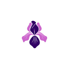 Fototapeta premium A clean, stylized vector icon of an iris flower, highlighting its elegant, layered petal structure and dual-tone color palette, representing beauty, nature, and sophistication.