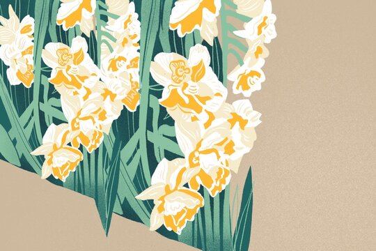 Summer flowers Hand draw illustration