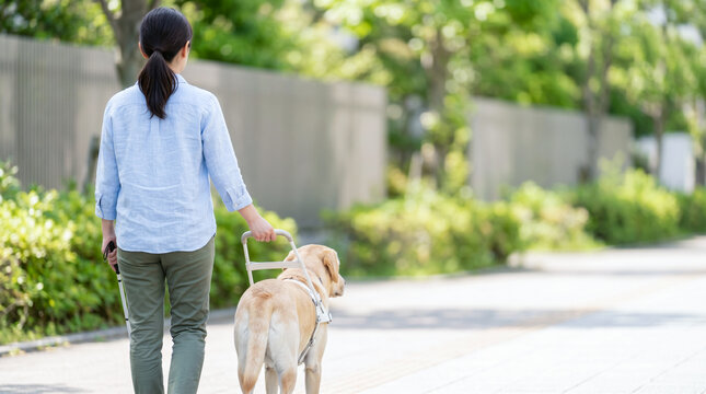 視覚障害者の移動や暮らしを支える盲導犬の日常風景