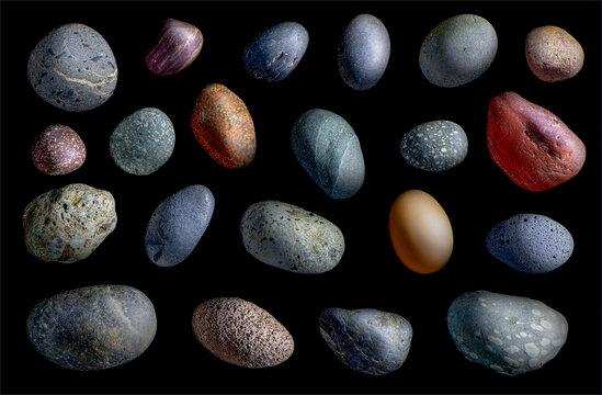 A single chicken egg "hidden in plain sight" among various rounded river rocks.