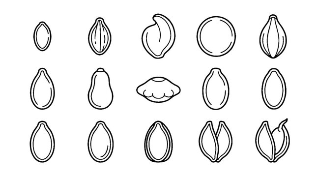 Collection of various pumpkin seed icons in outline style.