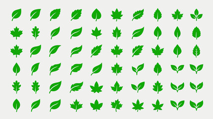 Fototapeta premium A set of leaf vector icons displayed in a grid layout.