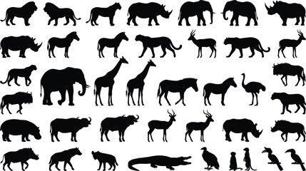 Black and white of a diverse herd of elephants walking in a line © GR Graphics