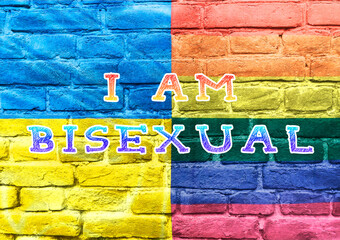 Fototapeta premium Colorful Brick Wall with Bisexual Pride Message