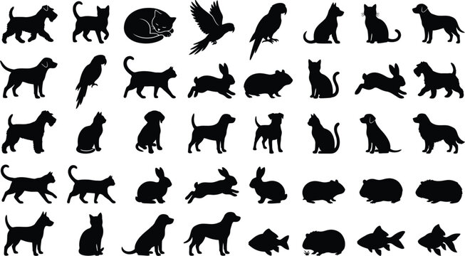 Black silhouette of various animals in a repeating pattern on white background, black animal silhouettes
