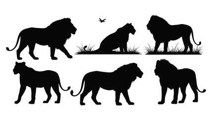 Lion silhouettes with grass and bird on a white background silhouette © Jewel
