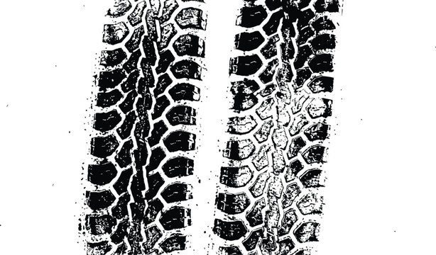 Black and white snake skin texture