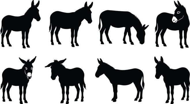 Donkey Silhouette Collection Featuring Standing Grazing Front View and Farm Animal Pose Bundle