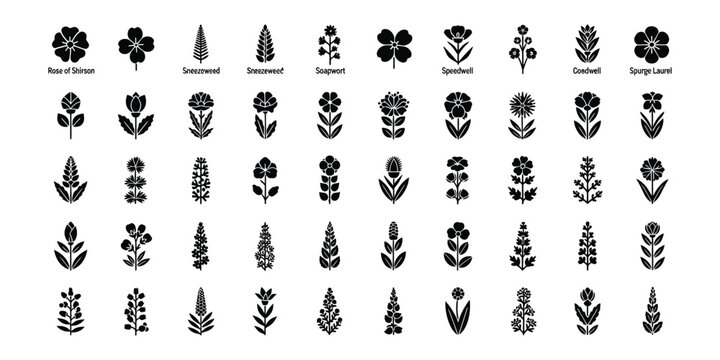 Collection of 50 minimalist black and white flower icons and floral silhouettes. Various botanical shapes including Rose of Sharon and snapdragons in a flat vector design for branding.