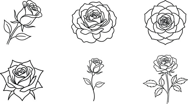 Set of six rose flower line art icons featuring blooming blossoms buds and stems in black minimal doodle style vector illustration