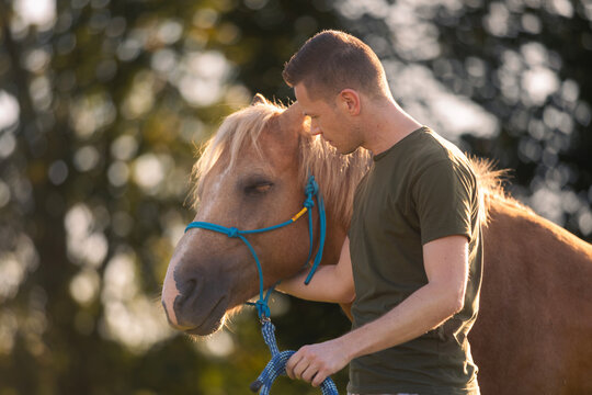 Man stroking horse during hippotherapy session on sunny day. Animal assisted therapy, rehabilitation, outdoor activity and healthcare concept.