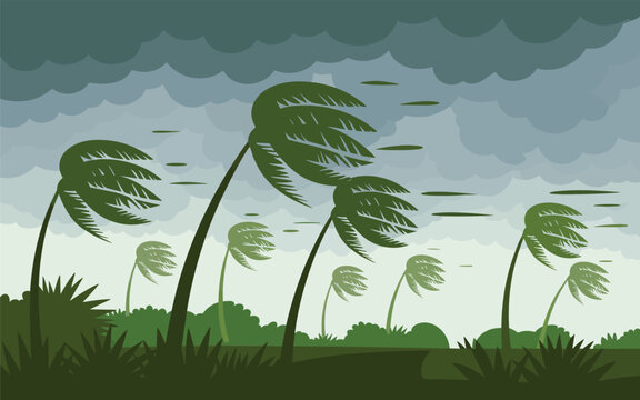 A strong storm hits a coastal area with palm trees swaying violently in the wind under a dark cloudy sky.