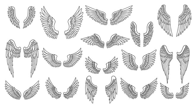 Diverse collection of hand drawn angel and bird wings in various styles and sizes presented as black and white line art.