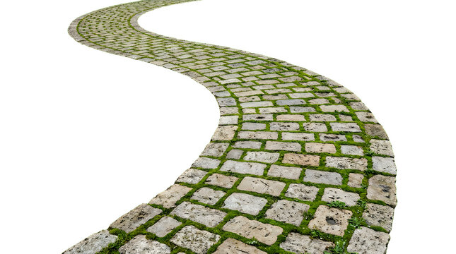 Curved stone path with green grass growing between the pavement blocks