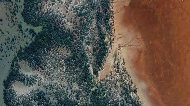 Aerial view of the salt crust and vegetation patterns at Lake Tyrrell, Victoria, Australia.