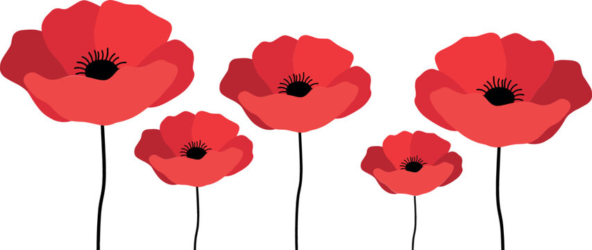 Red Poppy Flower Vector Set with Flat Botanical Anzac Day Remembrance Symbols for Greeting Cards Memorial Graphics and Surface Pattern Designs