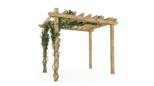 Decorative wooden pergola structure featuring climbing green vines isolated in a studio on white background