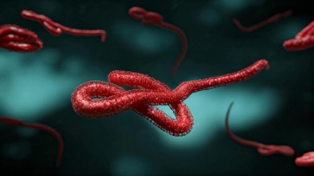 Red Virus Microorganisms Floating in Microscopic Medical View