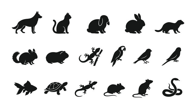 Collection of animal silhouettes including a dog cat rabbit rodent bird reptile and fish silhouette