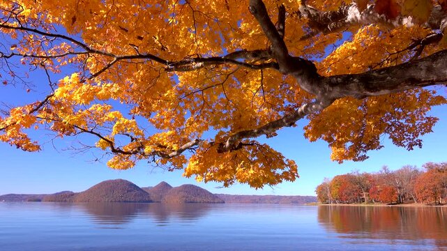 洞爺湖の紅葉と中島