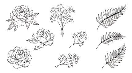 Vintage botanical line art collection, hand drawn peony flowers and fern leaves, 9 floral vector elements for wedding invitations and branding © Tayba
