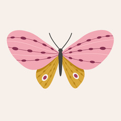 butterfly with the pink color  © Archana