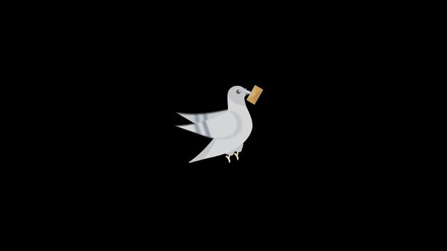 Dove bird carrying letter icon animation isolated on an alpha channel background 
