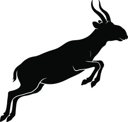 Fototapeta premium Leaping sitatunga antelope