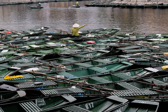 Traditional tourist boats on Ngo Dong River in Tam Coc Ninh Binh. Vietnam
