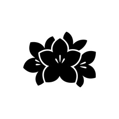 Fototapeta premium Beautiful black plumeria frangipani flower bouquet silhouette isolated on white background