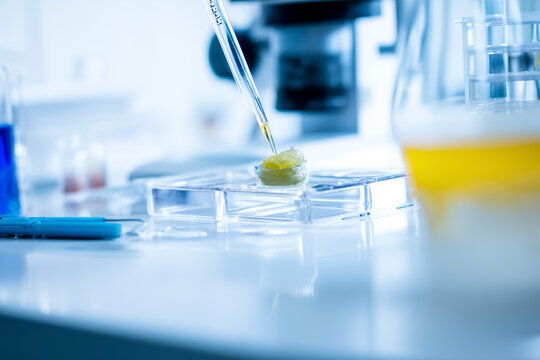 Close up of food sample testing in laboratory quality control and safety inspection. Food safety control, focus on sample and equipment. Clean environment.