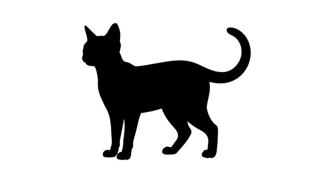 Black cat silhouette, feline icon, animal shape, pet design isolated on White Background
