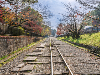 日本京都傾斜鐵路紅葉2 © John