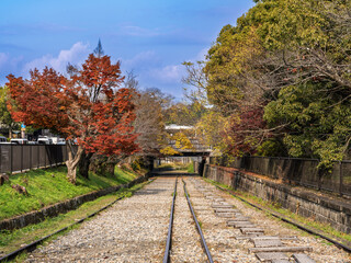 日本京都傾斜鐵路紅葉1 © John