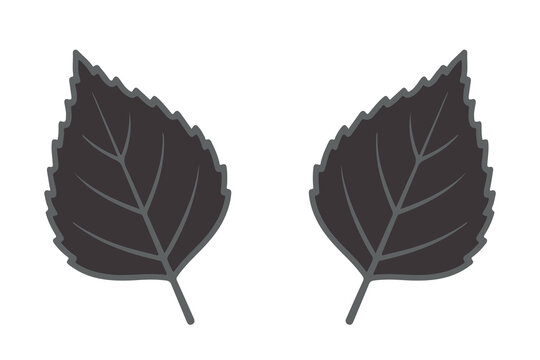 autumn leaves collection