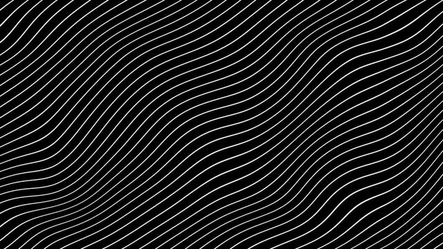 White Grey abstract curved wavy lines twist motion on black background.Visual white wavy line on black motion background.Minimal abstract thin white color wavy line moving background.