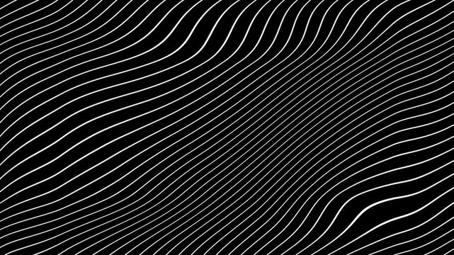 White Grey abstract curved wavy lines twist motion on black background.Visual white wavy line on black motion background.Minimal abstract thin white color wavy line moving background.