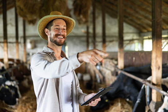 Happy farmer holding a digital tablet and pointing, managing cows and livestock inside a barn, embracing modern farm technology