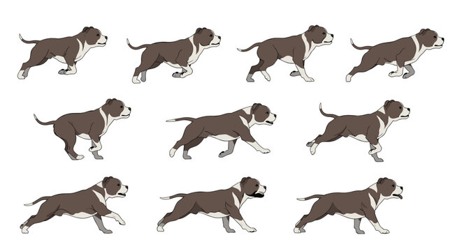 Animation sprite sheet of a brown and white pitbull dog running in a smooth continuous loop for game development projects.