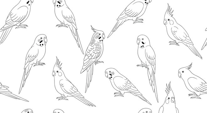 Seamless pattern of hand drawn parrot and cockatiel outlines on a white background for wallpaper or textile design work.