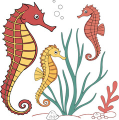 Colorful Seahorse Illustrations, Marine Life, Ocean Creatures, Sea Horses © ahosan