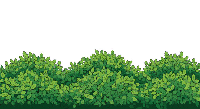 Thick green garden hedge plant bushes with many small leaves vector illustration isolated on white background.