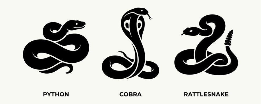 Black silhouettes of python cobra and rattlesnake