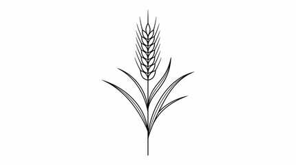 Minimalist wheat stalk vector icon, black and white cereal grain ear illustration, organic farming and bakery logo element on white background © Gudu