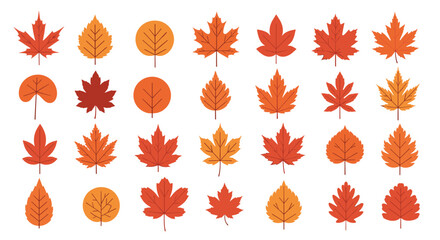 Fototapeta premium Large collection of twenty eight autumn tree leaves in warm yellow, orange, and red colors on a white background.