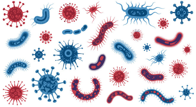 Collection of various colorful bacteria and virus microbes in cartoon style, illustrating microbiology concepts.