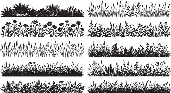 Set of black silhouettes of wild meadow grass and flowers for nature borders and floral design elements